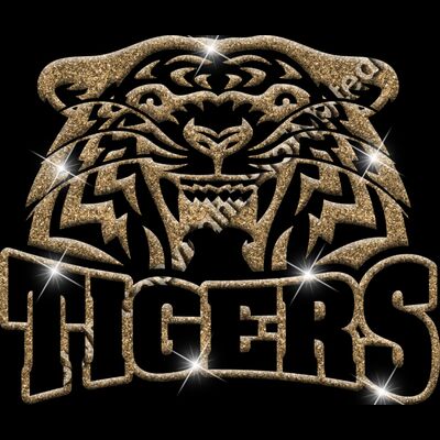 GLT32 GOLD GLITTER Thumbnail